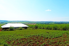 Transmara Evangelical Church , July, 2017